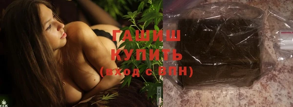 мет Алексин