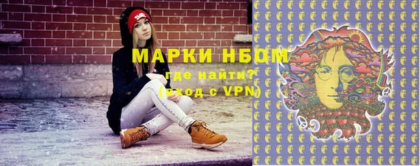 мет Алексин