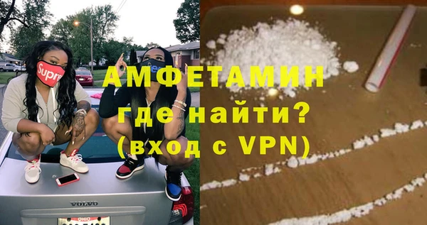 мет Алексин
