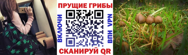Галлюциногенные грибы мухоморы купить наркотики сайты Похвистнево